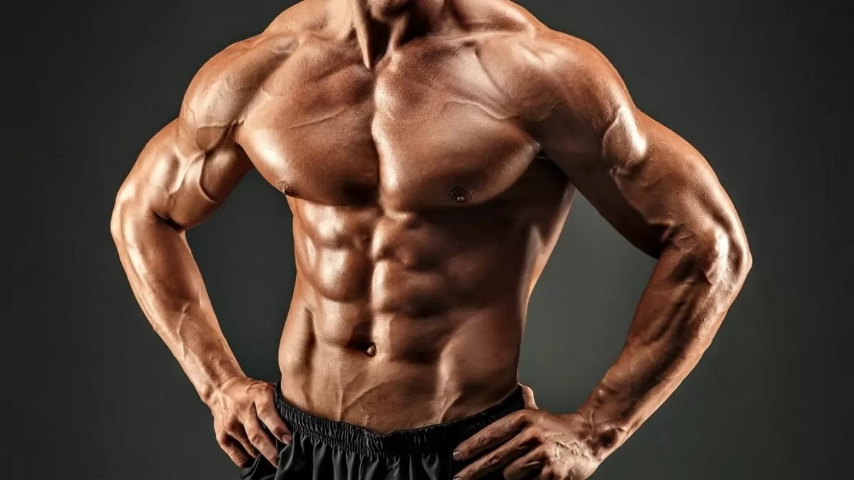 Effects of L Glutamine Supplement in Human Exercise and Muscle Training!