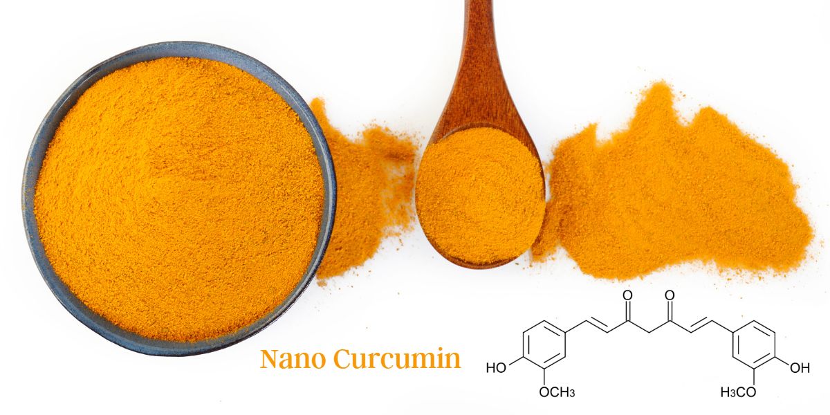 Nano curcumin supplements