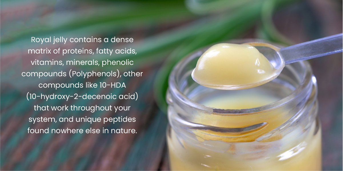 Best Royal Jelly Supplement