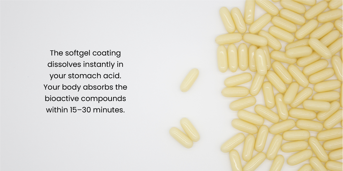 Best Royal Jelly Supplement